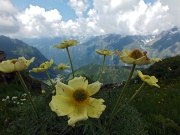 L’ANELLO DELLA MANINA (1821 m.) con SASNA (2229 m.) da Lizzola l’11 luglio 2013  - FOTOGALLERY